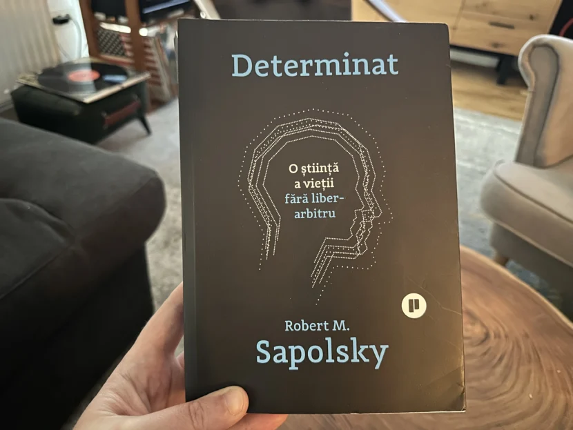 Avem sau nu "liber arbitru"? Liberul arbitru - exista sau nu?